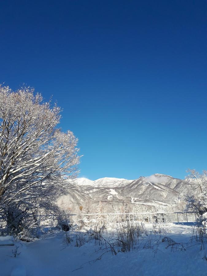 Pension Snow 하쿠바 외부 사진